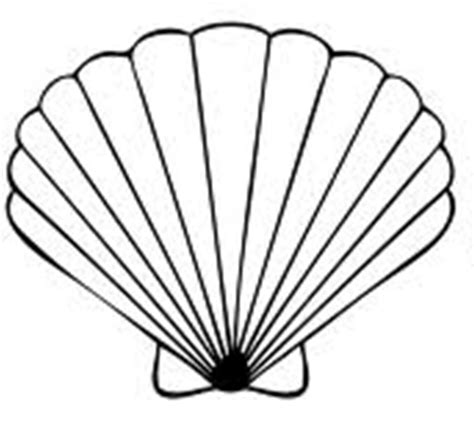 Image result for Biro Drawing Shell