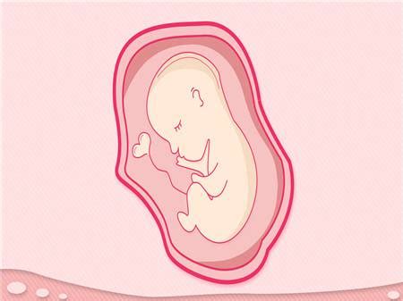 孕27周胎动多少次正常 - 业百科