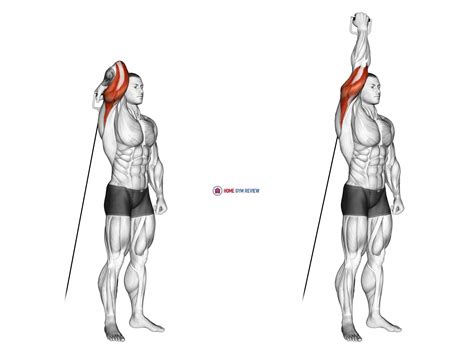 Cable Standing Reverse Grip One Arm Overhead Tricep Extension - Home ...