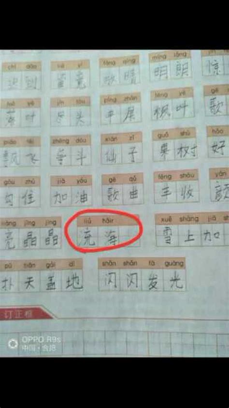 汉语拼音 整体认读 共十六个 不能拼读 需牢记