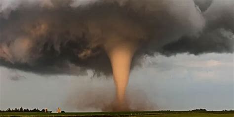 Article Usage Examples 的图像结果