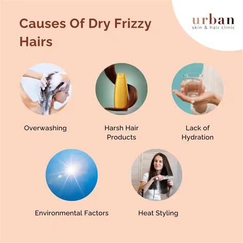 Dry Frizzy Hairs Causes, Symptoms & Treatment