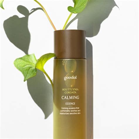 Goodal Brand Story | Maccaron Korean Skincare