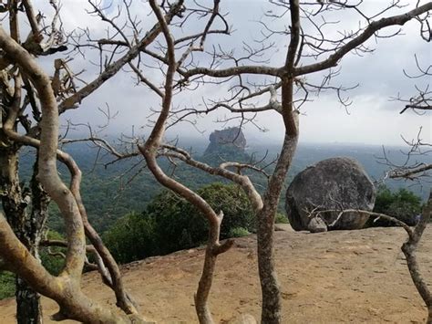 Lanka Beach Holidays (Negombo) - 2021 What to Know Before You Go (with ...