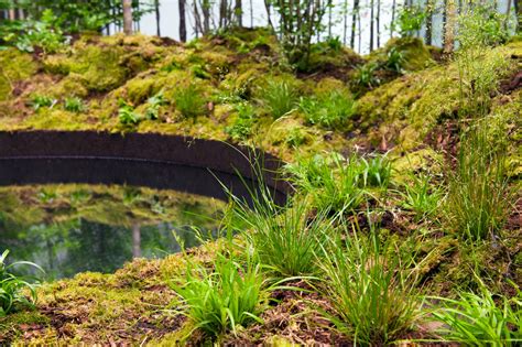 Invocation For Hope - Superflux