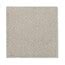 STAINMASTER (Sample) Signature Nature's reserve Retreat Pattern Carpet ...