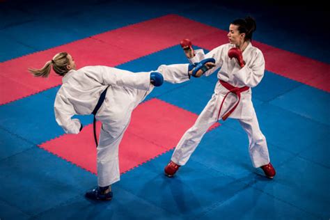 Image result for Karate Framework Java