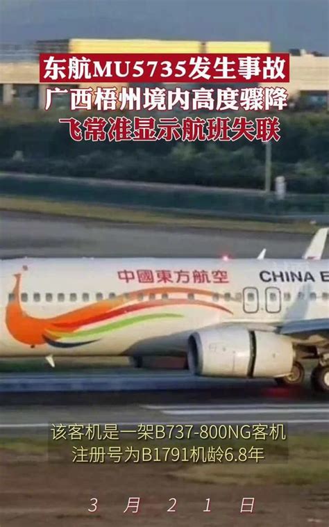 东航空难 | MU5735航空器飞行事故调查初步报告公布_天维新闻频道 - Skykiwi.com