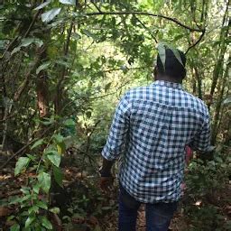 Best Top Rated Botanical garden in Kizhakkoth, Kerala, India | Yappe.in