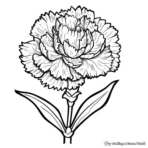 Ohio Coloring Pages - Free & Printable!
