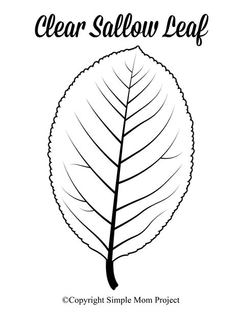 Free Printable Large Leaf Templates, Stencils and Patterns – Simple Mom ...