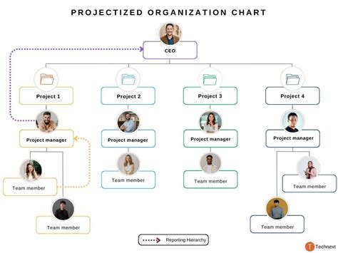 Image result for Project Management Organizational Structure