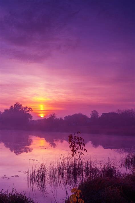 365 Blank Page Journal: Numbered Page Per Day Notebook : Inspired ...