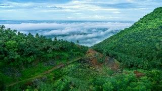 Arimbra Hills | Mini Ooty | Tourist Places in Malappuram | Kerala Tourism