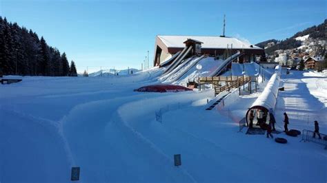 GREAT FUN! - Reviews, Photos - Tobogganing Park - Tripadvisor