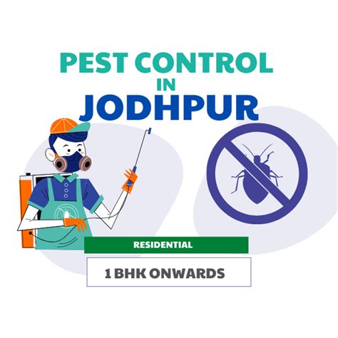 Pest Control in Jodhpur | Low Pest control Price and Charges