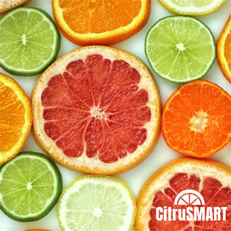 Image result for Tapioca Fiber