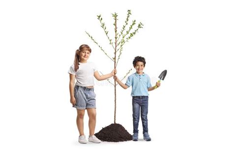 Image result for Tree-Planting Portrait