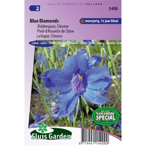 Delphinium Blue Diamonds - Pied d'alouette de Chine bleu - Des fleurs ...