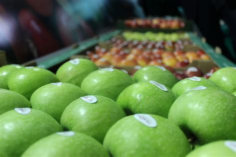 Taste makes the difference: Moldovan fresh fruit producers exhibit at ...