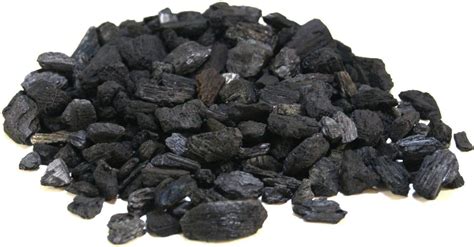 Wood Charcoal for Plants Potting Orchid/Succulent/Adenium/Terrarium ...