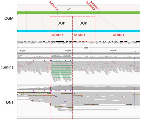 A Comparison of Structural Variant Calling from Short-Read and Nanopore ...