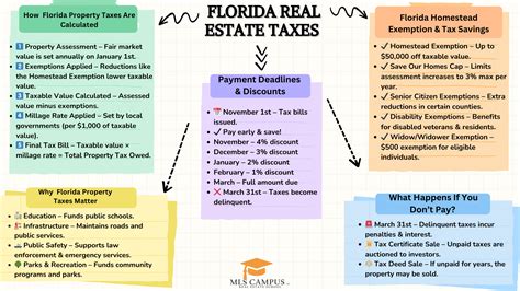 Florida Real Estate Taxes