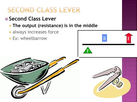 Image result for Class 2 Lever