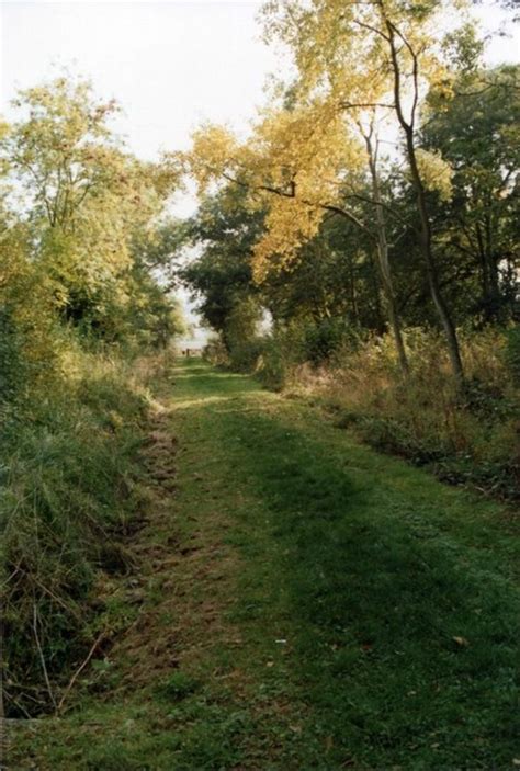 Howe Park Wood, milton keynes, United Kingdom - Top Attractions, Things ...