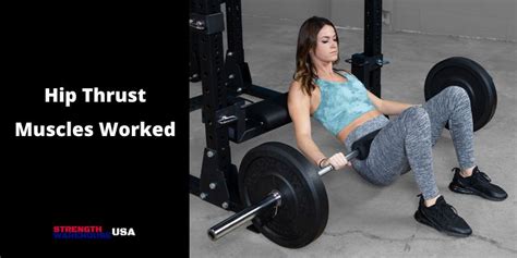 Image result for Hip Thrust Muscles