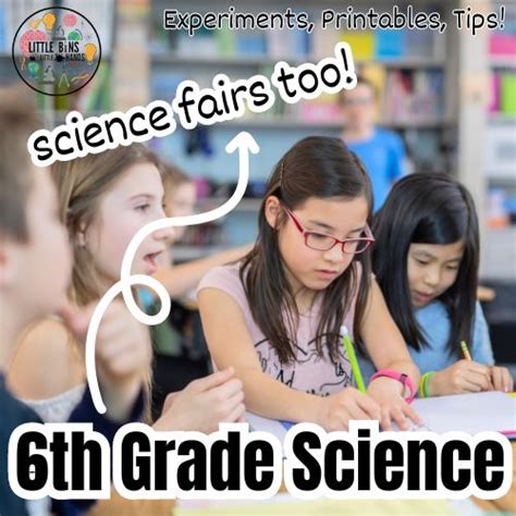 Grade 6 Science Projects 的图像结果