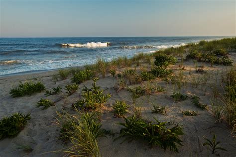 Hither Hills State Park | Montauk, NY 11954