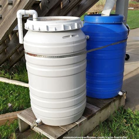 Rain Barrels - DIY, Cheap, Decorative Options (Plus Care Tips)