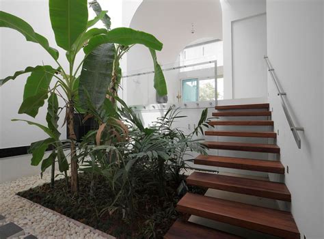 7 Small indoor garden ideas for the modern home | homify