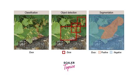 Image result for Convolution Layer