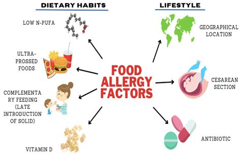Understanding How the Body Becomes Sensitive to Food Allergies - Scientific Insights