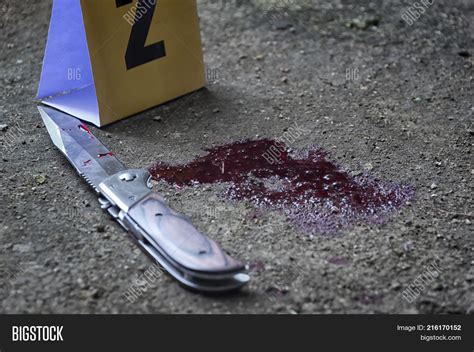 Bloody Knife Criminal Image & Photo (Free Trial) | Bigstock