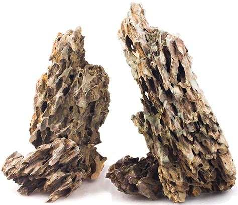 Dragon rock | FRESHWATERAQUATICA