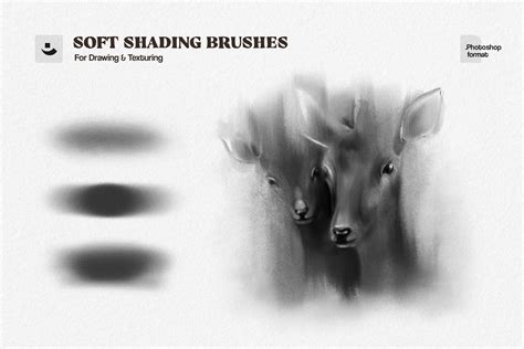Manga & Anime Complete Photoshop Brushes Bundle — Brushapes Studio