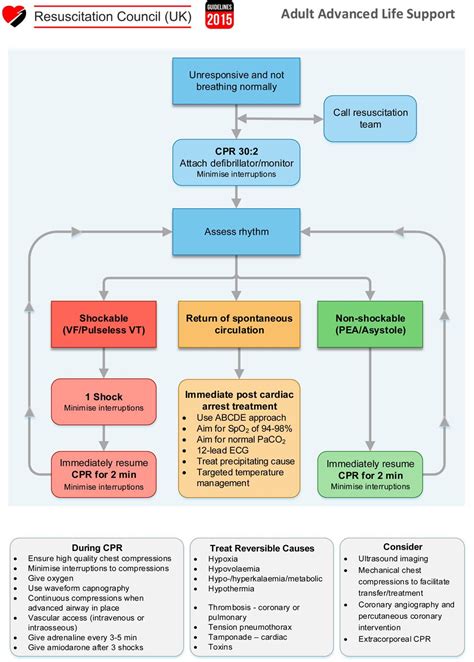Advanced Trauma Life Support Algorithm 的图像结果