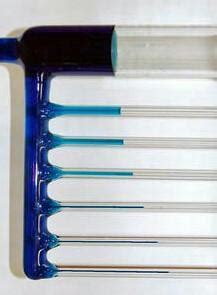 tell the odd one out root pressure transpiration pull turgor pressure ...