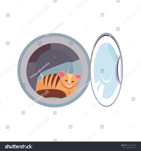 Image result for Cat in Washing Machine Prank