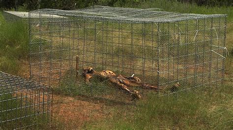 Decomposition Human Process 的图像结果