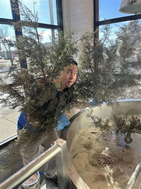 BJ's Restaurants, Inc. on LinkedIn: #beer #craftbeer #bjsrestaurants # ...