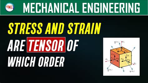 Image result for Tensor Quantity Examples