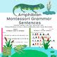 Amphibian Montessori grammar Sentences by Teacher 2 Tutor | TPT