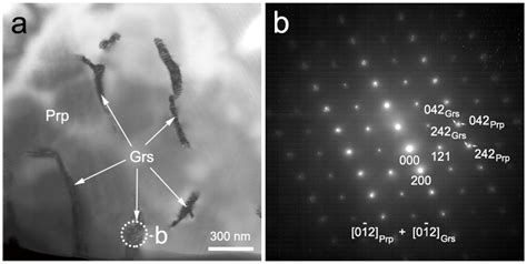 Grossular Exsolution at Pyrope Dislocation: New Evidence for the ...