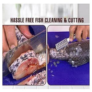Buy MADHULI Stainless Steel Kitchen Scissor, Fish Scale Scraper with ...