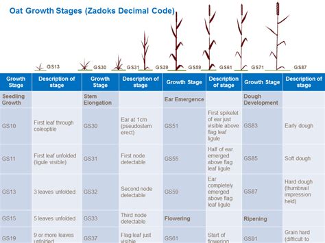 Image result for Engineering Practice Reflections Examples