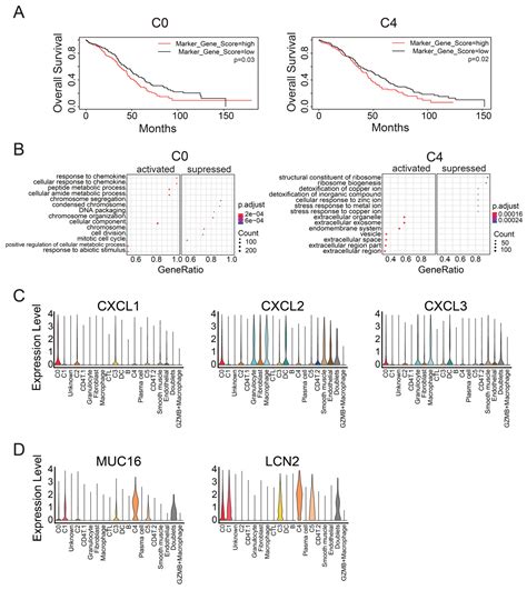 Identification of Malignant Cell Populations Associated with Poor ...